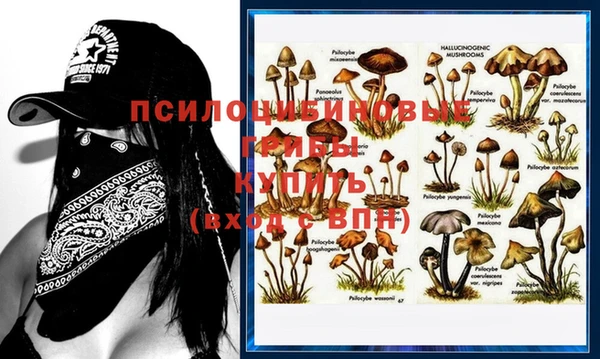 mix Алексеевка