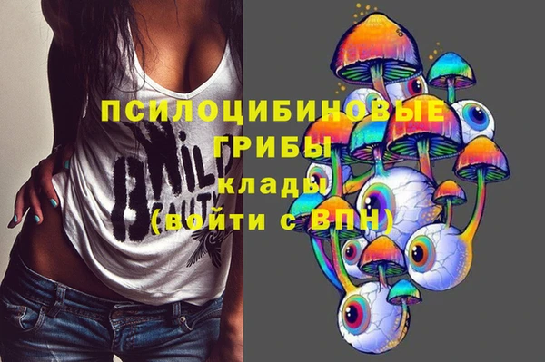 прущие крисы Абинск