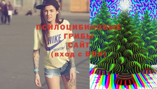 герыч Алзамай